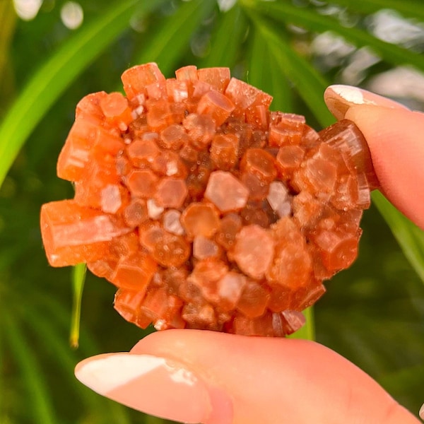 Large Aragonite Star Cluster A Grade - Raw Cluster - raw aragonite cluster geode - crystal cluster - healing crystals -