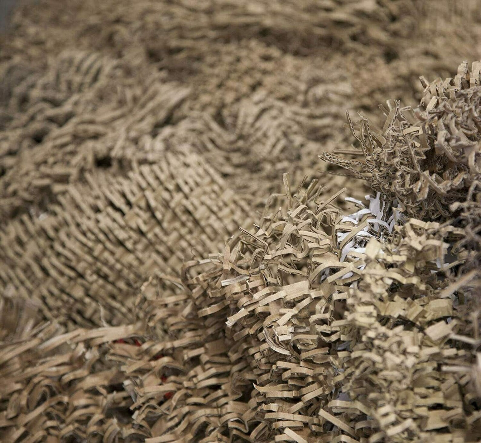download shredded cardboard