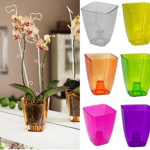 Plant Orchid Pot Plastic 8 Colours Gloss Oval Planter Transparent Clear 12 cm