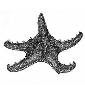 Starfish