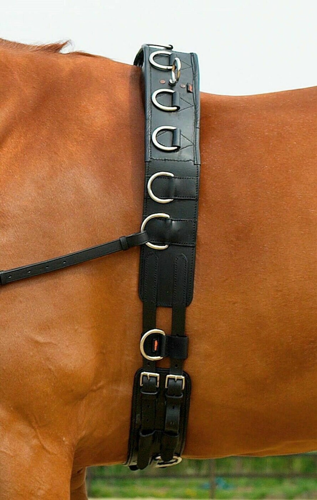 Professional Lunge Leather Training Roller High Withers Pads & Etsy