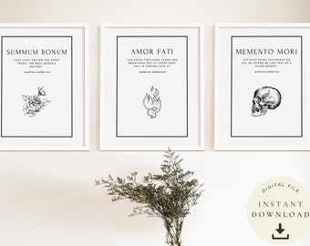 Amor Fati Poster, Stoicism Gift, Memento Mori Print, Stoic Art, Marcus Aurelius Quote, Motivational, Inspirational, Philosophy Teacher