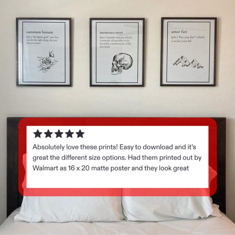 Albert Einstein Digital Download Print für Wissenschaftslehrer Physik Geschenk zum Schulabschluss Motivationsplakat Bild 5