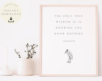 Socrates Décor, Greek Philosophers, Inspirational Print, Motivational Quotes, Philosophy Poster, Hellenistic Art, Ancient Greek Gift