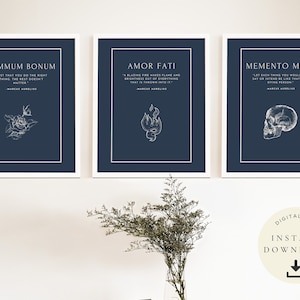 Marcus Aurelius Design, Memento Mori Gift, Stoic Download, Amor Fati Poster, Stoicism Artwork, Motivation Set of 3, Philosophy Wall Decor