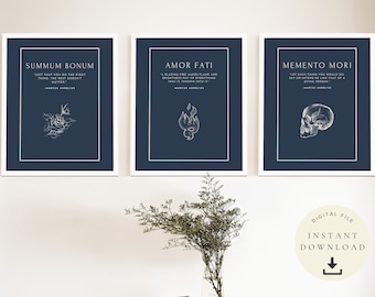 Marcus Aurelius Design, Memento Mori Gift, Stoic Download, Amor Fati Poster, Stoicism Artwork, Motivation Set of 3, Philosophy Wall Decor