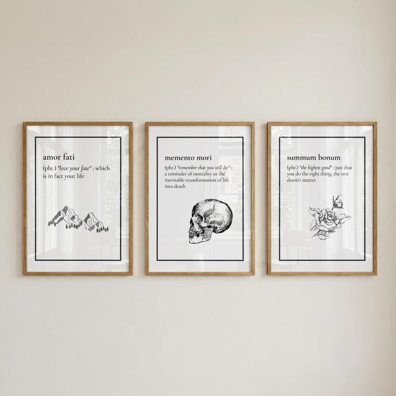 May include: Three framed art prints with black text and illustrations on a white background. The prints feature the phrases "amor fati", "memento mori", and "summum bonum". The illustrations include mountains, a skull, and a rose.