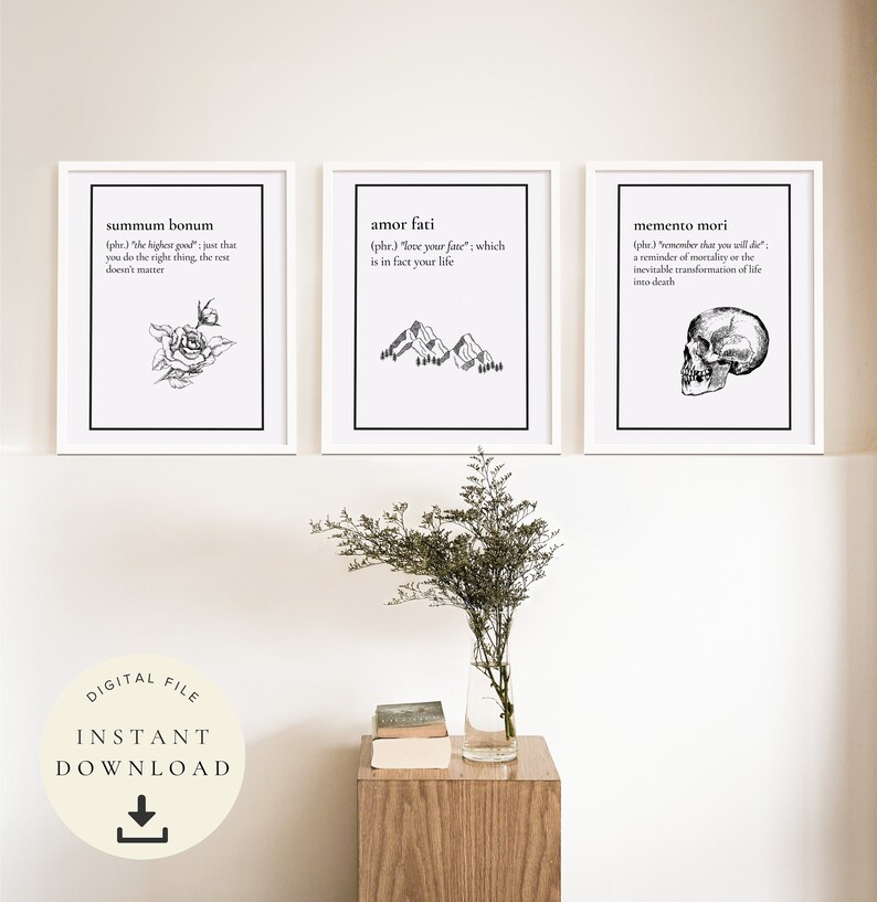 May include: Three framed art prints with black text and illustrations. The prints feature the phrases "summum bonum", "amor fati", and "memento mori". The first print has a rose illustration, the second has mountains, and the third has a skull. A digital file is available.