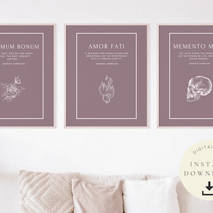 Amor Fati Gift, Printable Marcus Aurelius, Stoicism Art Memento Mori, Stoic Philosophy, Philosophical Quotes, Motivation poster set of 3