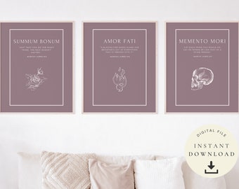 Amor Fati Gift, Printable Marcus Aurelius, Stoicism Art Memento Mori, Stoic Philosophy, Philosophical Quotes, Motivation poster set of 3
