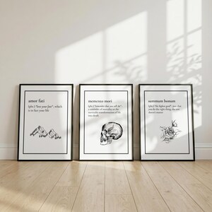 May include: Three framed art prints with black frames and white backgrounds. Each print features a phrase in black text with a corresponding illustration: mountains, a skull, and a rose. The phrases are "amor fati", "memento mori", and "summum bonum".