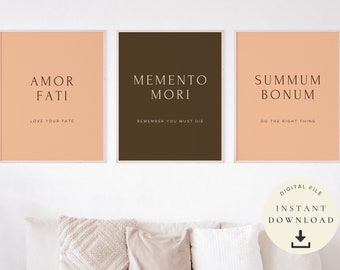 Estampes stoïciennes, Impression Memento Mori, Affiche Amor Fati, Art du stoïcisme, Citations inspirantes, Philosophie, Philosophe, Summum Bonum, Ensemble de 3