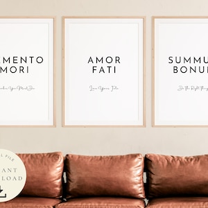 Stoicism Prints, Memento Mori Art, Amor Fati Poster, Stoic Quotes, Marcus Aurelius, Inspirational, Meditations, Summum Bonum, Set of 3