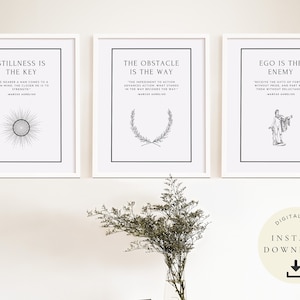 Ryan Holiday, Poster stoico, Arte dello stoicismo, L'ostacolo è la strada, Citazione di Marco Aurelio, Stampe motivazionali, Copertina del libro, Filosofia, Muro