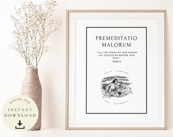 Premeditatio Malorum, Arte dello stoicismo, Citazione stoica, Meditazioni, Stampa ispiratrice, Poster motivazionale, Naufragio, Muro positivo, Grande