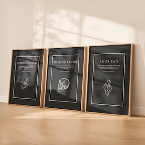 May include: Three framed art prints with gold-coloured frames. Each print has a black background with white text and a minimalist illustration. The prints feature the phrases "SUMMUM BONUM", "MEMENTO MORI", and "AMOR FATI".