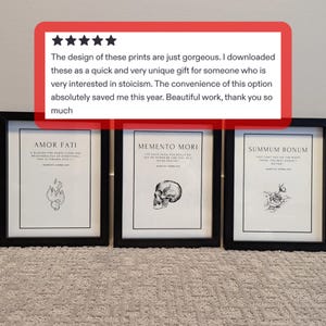 Albert Einstein Digital Download Print für Wissenschaftslehrer Physik Geschenk zum Schulabschluss Motivationsplakat Bild 6