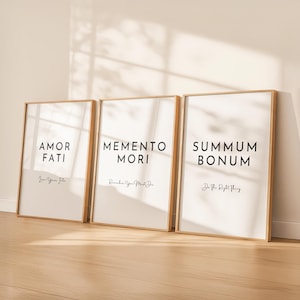 May include: Three framed art prints with gold-colored frames lean against a wall. Each print has a white background with black text. The prints read "AMOR FATI", "MEMENTO MORI", and "SUMMUM BONUM". The bottom of each print has additional text.
