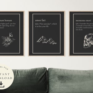 Marcus Aurelius Wall Art, Stoic Download, Summum Bonum Poster, Memento Mori Motivation, Stoicism Print, Amor Fati Gift, Set of 3 Quotes