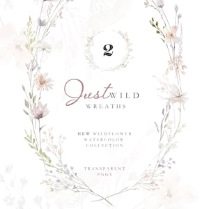 Fiori di campo dell'acquerello rosa polveroso, clipart di ghirlande floreali selvagge, clipart floreali dell'acquerello fai da te, clipart di matrimonio, estate primavera floreale Png