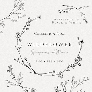 Linha artística desenhada à mão de flores silvestres, linha artística de respiração do bebê, linha artística de casamento botânico orgânico, flores silvestres SVG, fundo transparente png.