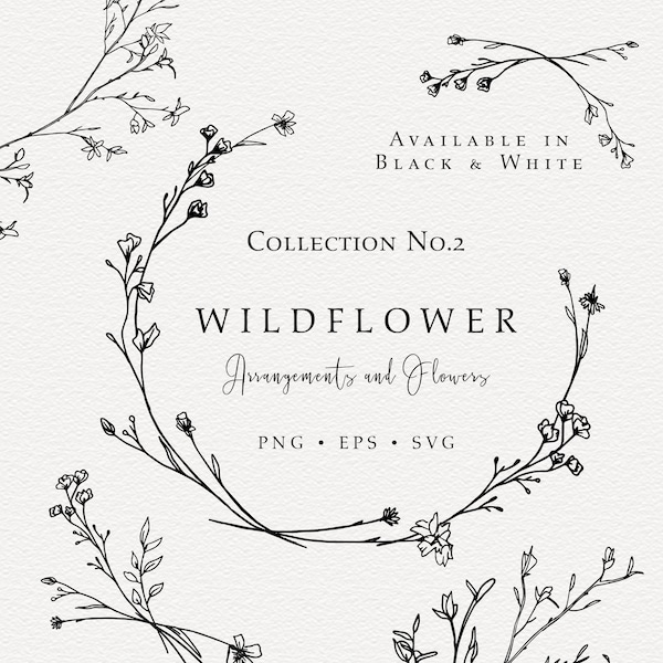 Wildflower Hand Drawn Line Art, Baby's Breath Line Art, Organic Botanical Wedding Line Art, Wildflower SVG, png transparent background.