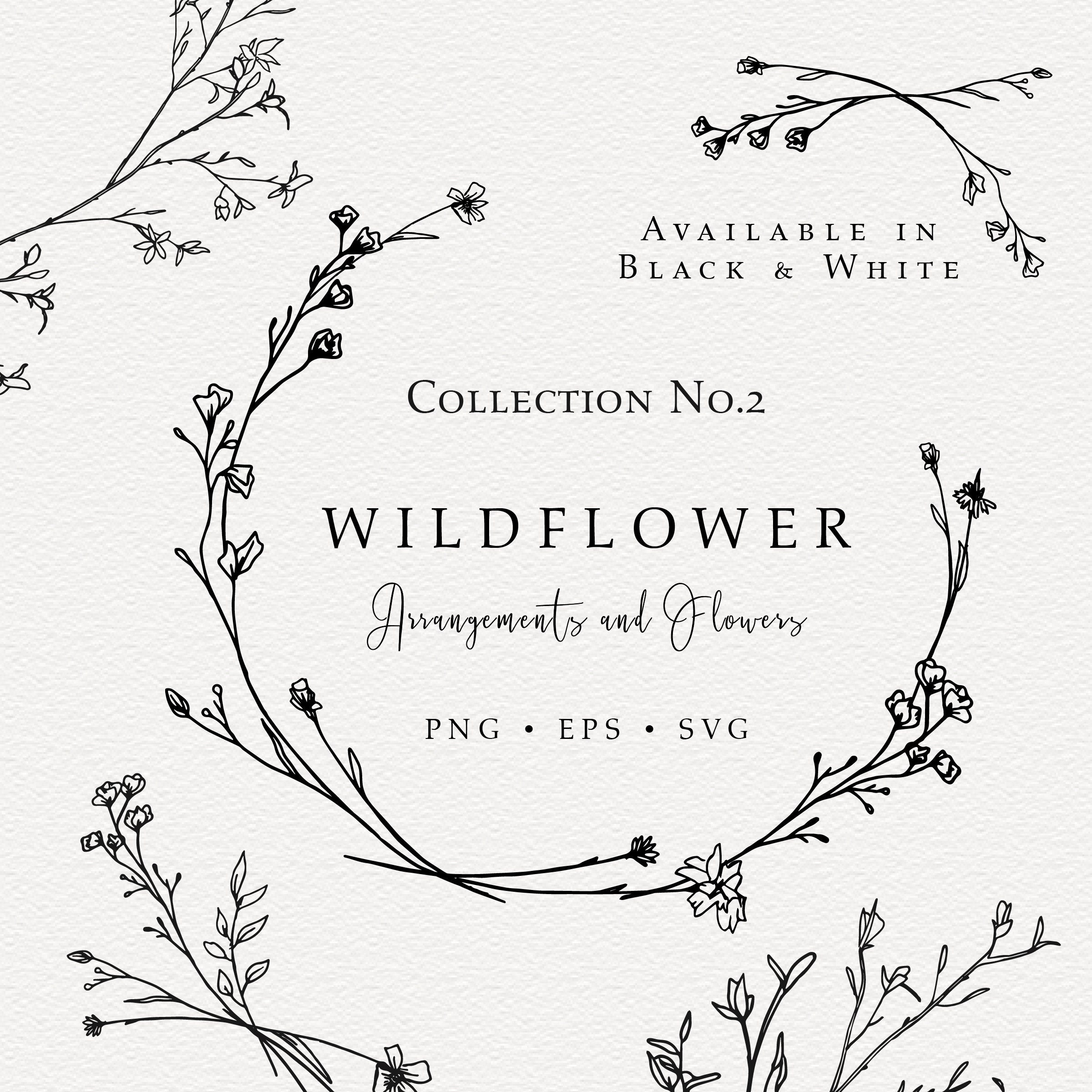 Wildflower Hand Drawn Line Art, Baby's Breath Line Art, Organic Botanical Wedding Line Art, Wildflower SVG, png transparent background.
