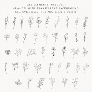42qty DIY Botanical Minimalism Floral line art elements. All available in EPS, SVG and PNG.