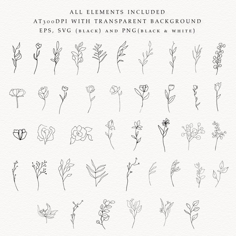 42qty DIY Botanical Minimalism Floral line art elements. All available in EPS, SVG and PNG.