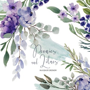 Peonías y lilas moradas y azules acuarela pintada a mano acuarela elementos individuales png clip art Verde también incluido