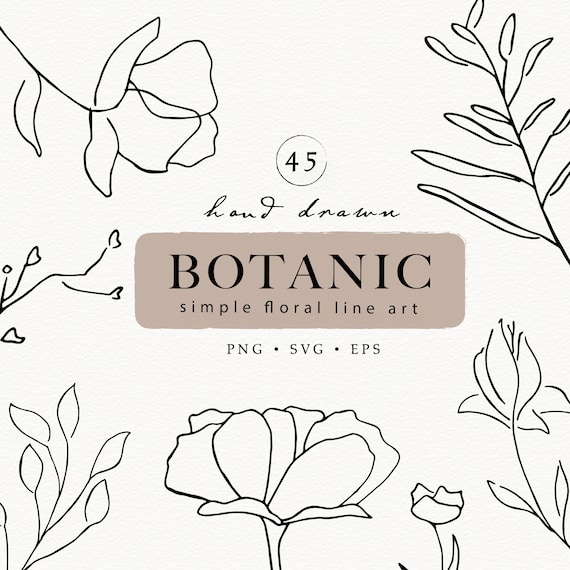 Botanical Hand Drawn Line Art, Floral Line Art, Fine Line Floral Art, Minimalist Wedding, SVG, PNG Transparent Background Commercial Use