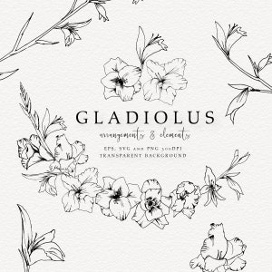 Gladiolo disegnato a mano Line Art, ClipArt floreali di gladiolo, SVG Gladiolo Matrimonio Line Art, PNG Sfondo trasparente Uso commerciale