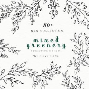 Botanische Blätter und Zweige SVG, Herbst grün Linie Kunst, handgezeichnete Vektor grün, grün ClipArt, Hochzeit grün ClipArt
