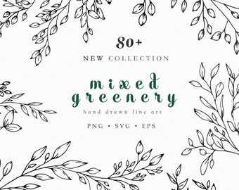 Puede incluir: Una colección de más de 80 ilustraciones de vegetación mixta dibujadas a mano. El texto "mixed greenery" está escrito en verde con las palabras "hand drawn line art" debajo. El texto "PNG - SVG - EPS" está debajo.