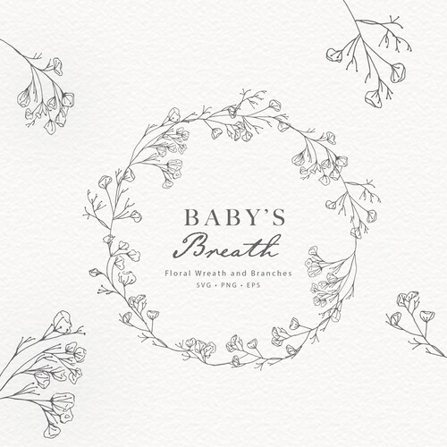 Baby's Breath Hand Drawn Floral Line Art Baby's Breath Etsy