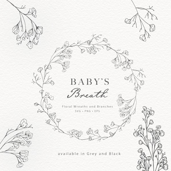 Baby's Breath Hand Drawn Floral Line Art Baby's Breath Wreath Clip Art Baby's Breath SVG BOHO Wedding Clip Art Shower Baptism Clip Art PNG