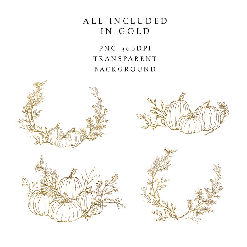 Fall Clipart Pumpkin Line Art Gold Autumn Clipart Hand Drawn Pumpkins ...