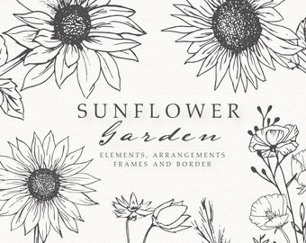 Sunflower Hand Drawn Line Art, Sunflower Clip Art, SVG Sunflower Line Art, Organic Sunflower Art, PNG Transparent Background Commercial Use