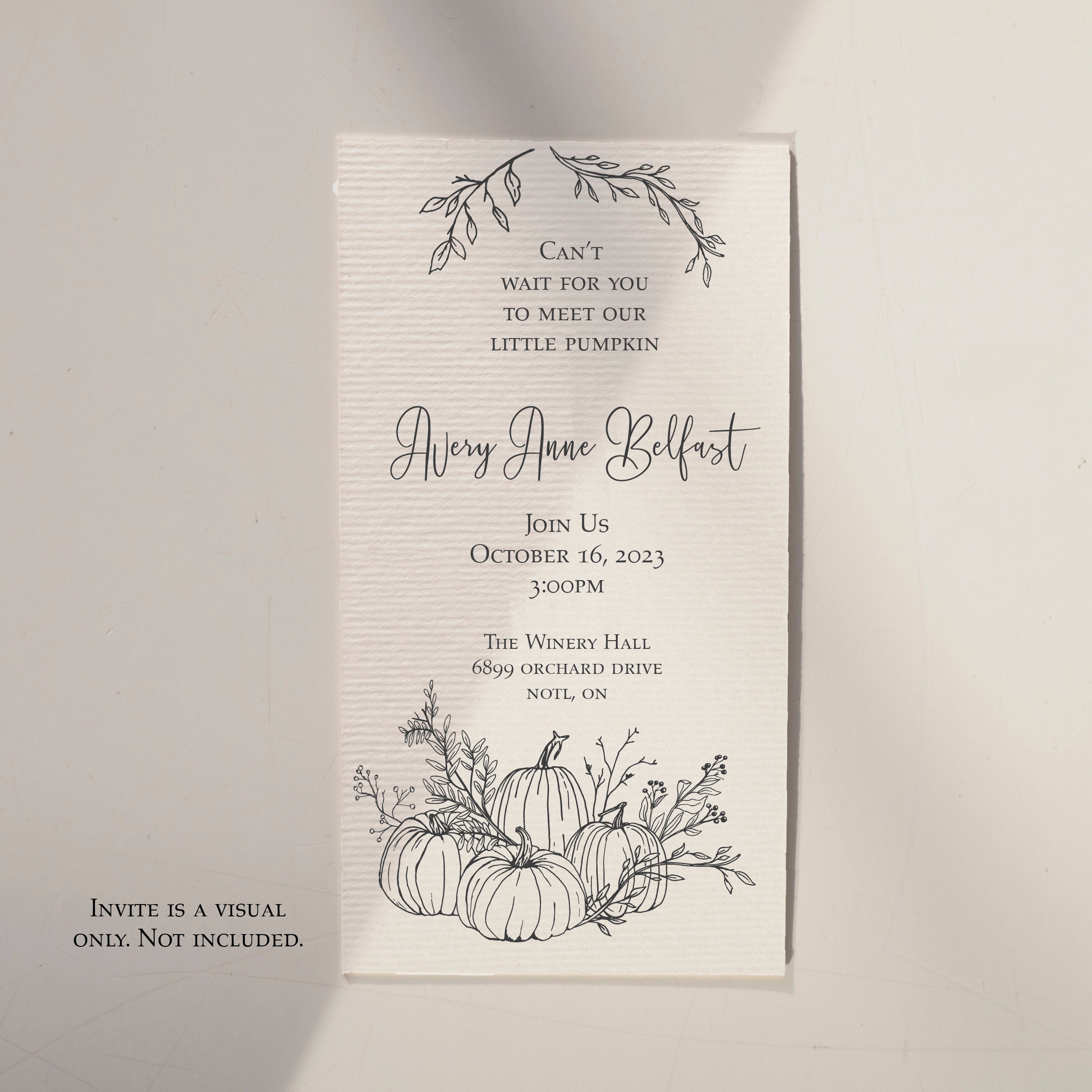 Fall Clipart, Pumpkin Line Art, Autumn Clipart, Hand Drawn Pumpkins and ...