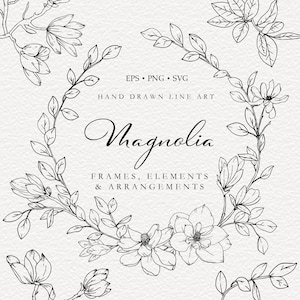 Dessin au trait Magnolia, Magnolia SVG Clip Art, clipart mariage botanique Magnolia dessiné à la main, fichiers PNG transparents, usage Commercial