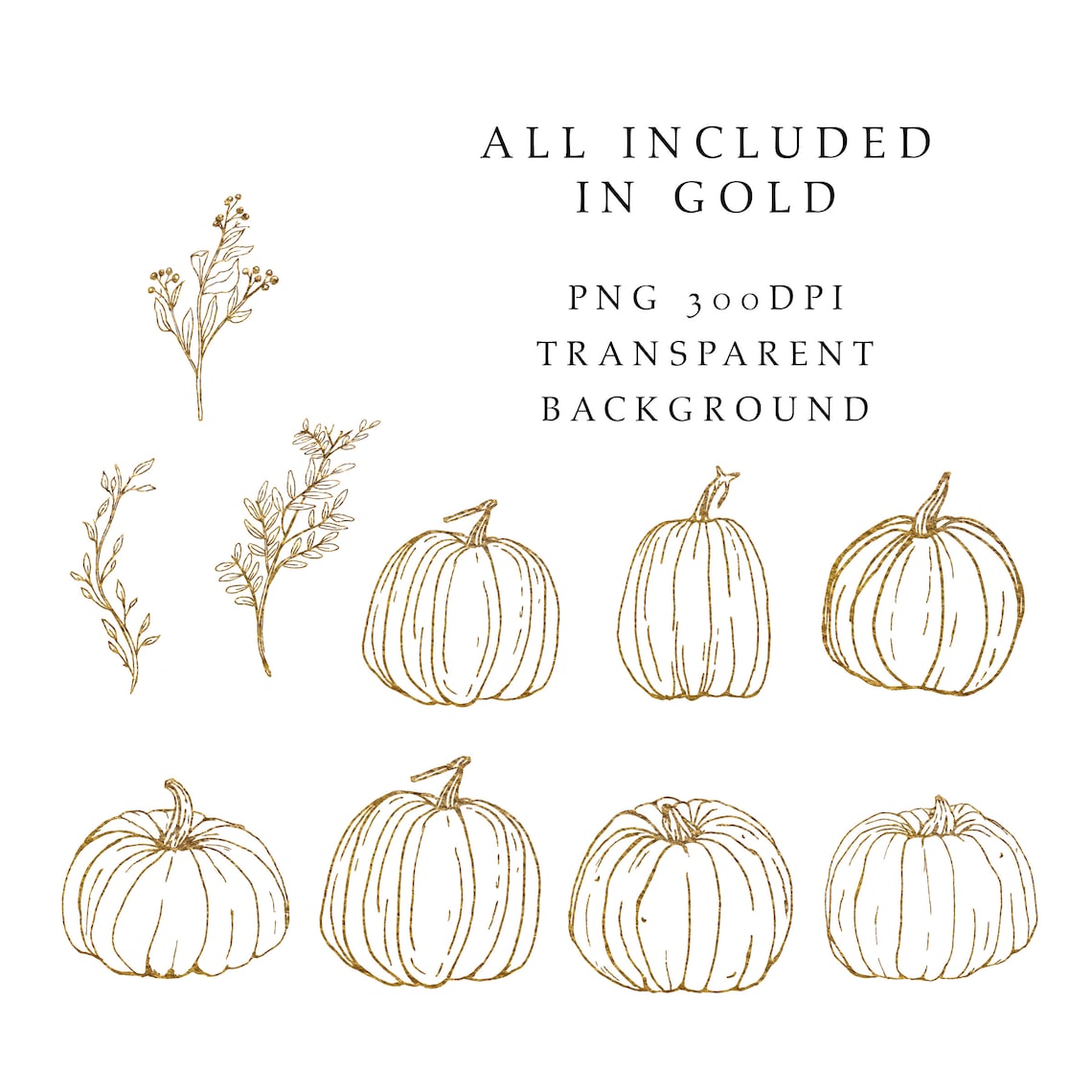 Fall Clipart Pumpkin Line Art Gold Autumn Clipart Hand Drawn Pumpkins ...