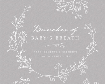 Baby&#39;s Breath Hand Drawn Line Art, Organic Botanical Wedding Line Art, SVG Baby&#39;s Breath,  png transparent, Commercial use, Baby Shower