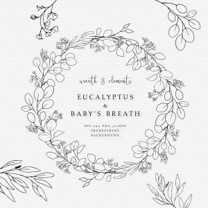 Baby's Breath Hand Drawn Line Art, Eucalyptus Line Art, Eucalyptus Organic Botanical Wedding Line Art, png transparent Wreath.