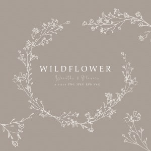 Wildblume Hand gezeichnete Linie Kunst, Baby's Atem Linie Kunst, Bio botanische Hochzeit Linie Kunst, Wildblume SVG, png transparenten Hintergrund.
