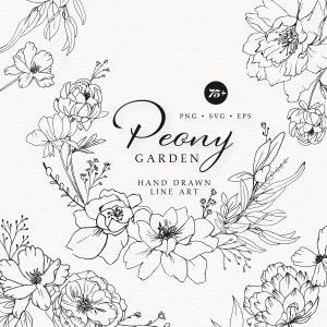 Peonia disegnata a mano, Peonia da giardino, Linea arte floreale a linee sottili, Linea arte botanica per matrimoni, SVG, PNG, Filigrana ad acquerello