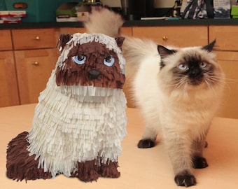 Custom Cat Pinata Perfectly Playful Fun for Feline Enthusiasts of All Ages