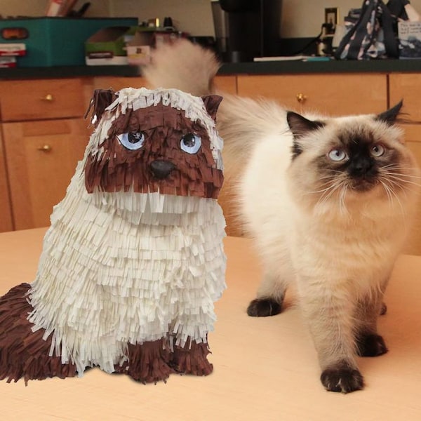 Custom Cat Pinata Perfectly Playful Fun for Feline Enthusiasts of All Ages