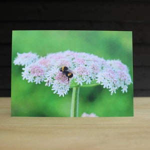 Summer Bee - Impressão fotográfica original - Cartão de felicitações A5