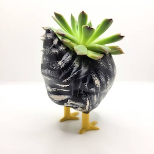 Handmade Chicken Butt Planter, Succulent Planter, Cactus Planter, Unique Plant Pot, Funny Planter, Farm Planter, Chicken Gift