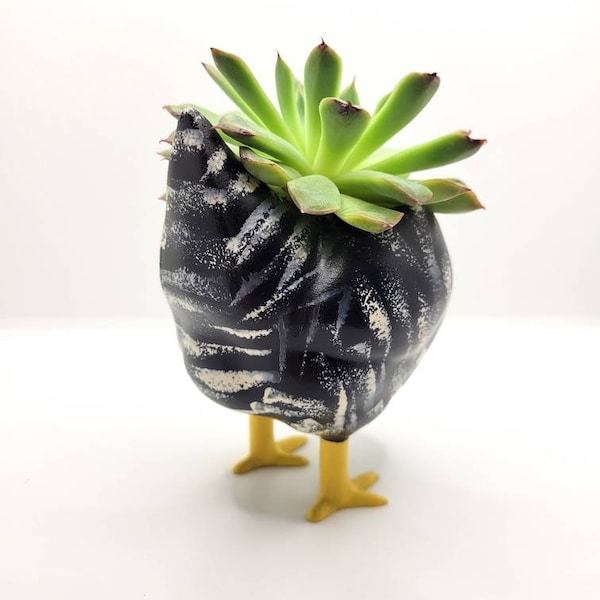 Handmade Chicken Butt Planter, Succulent Planter, Cactus Planter, Unique Plant Pot, Funny Planter, Farm Planter, Chicken Gift